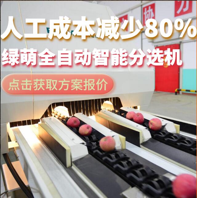 綠萌是水果智能分選設備國家高新技術企業,對水果采后處理提供全套解決方案。綠萌水果分選機可進行大小重量分級、外觀顏色分選、內部品質糖度檢測。提供全自動水果分選設備,水果選果機,智能水果分選機,全自動水果分選機,水果分級機,小型水果分選機，水果分級機,水果稱重分選機,水果重量分選機,水果大小分選機,水果顏色分選機,水果糖度分選機,配套水果清洗機、水果洗果保鮮機、水果包裝機、水果消毒滅菌殺菌機,水果打蠟機。更多水果分選方案報價,小型水果選果設備價格、水果分級機怎么樣、口碑好質量好的水果選果機、了解高性能水果分選機多少錢,咨詢客服免費獲取