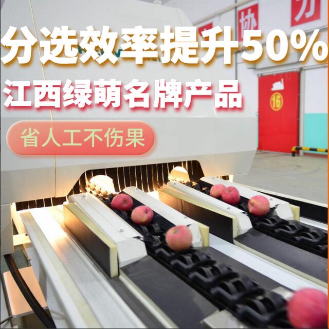 綠萌是水果智能分選設備國家高新技術企業,對水果采后處理提供全套解決方案。綠萌水果分選機可進行大小重量分級、外觀顏色分選、內部品質糖度檢測。提供全自動水果分選設備,水果選果機,智能水果分選機,全自動水果分選機,水果分級機,小型水果分選機，水果分級機,水果稱重分選機,水果重量分選機,水果大小分選機,水果顏色分選機,水果糖度分選機,配套水果清洗機、水果洗果保鮮機、水果包裝機、水果消毒滅菌殺菌機,水果打蠟機。更多水果分選方案報價,小型水果選果設備價格、水果分級機怎么樣、口碑好質量好的水果選果機、了解高性能水果分選機多少錢,咨詢客服免費獲取