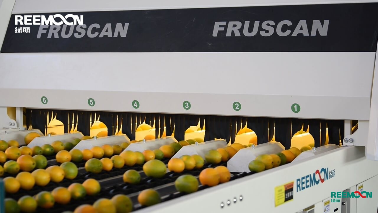 1601275061139673.jpg 分選機 (1).jpg