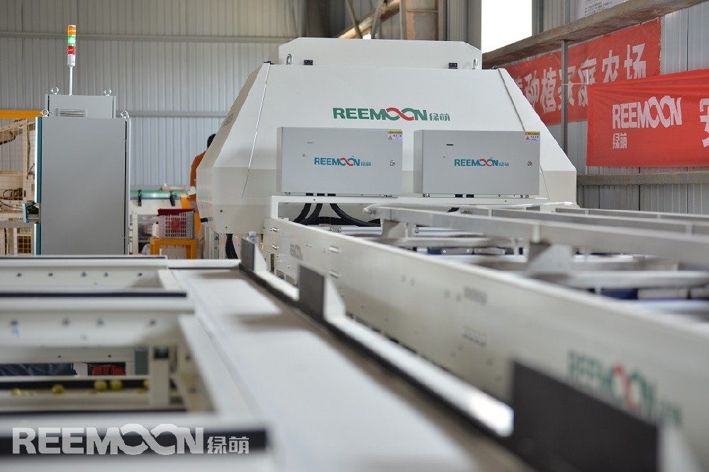 截止去年，大荔縣冬棗種植面積達42萬畝，2019年產量突破50萬噸，產值50億元，品牌價值44.94億元。再過一段時間，大荔冬棗將迎來全面豐碩的采摘期。大荔縣新禧冬棗專業合作社（以下簡稱“新禧”）從2016年成立以來，吸引帶動周邊農民的上萬畝冬棗加入到合作社。冬棗銷售進入旺季時，每天大約要出貨5萬斤