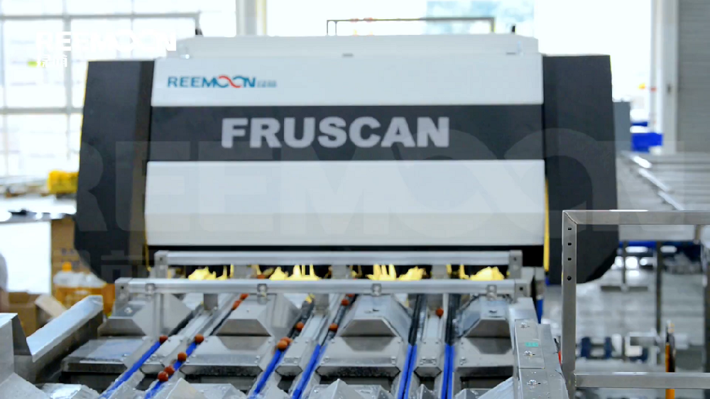 廣東是世界最大的荔枝產(chǎn)地，是種植荔枝最久的地區(qū)，已有2000多年的種植歷史，據(jù)不完全統(tǒng)計(jì)，廣東高州荔枝產(chǎn)量占全球產(chǎn)量的十分之一，素有千年荔鄉(xiāng)的美譽(yù)。廣東致力打造全國最強(qiáng)的荔枝產(chǎn)業(yè)集群，從生產(chǎn)、加工、銷售，到文化創(chuàng)意、休閑旅游等方面，已形成了較完整的產(chǎn)業(yè)鏈隨著新時代的發(fā)展，中國果蔬消費(fèi)水平不斷提高，