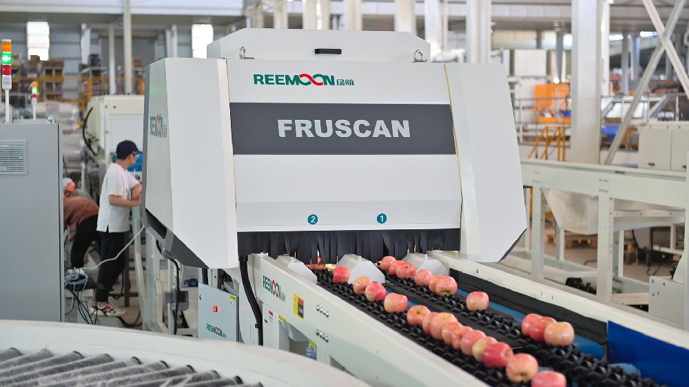 青怡蘋果從創(chuàng)立初，致力于高端品牌營運(yùn)，重視品控。是OLE、BLT、麥德龍、步步高、天天果園等商超的戰(zhàn)略合作伙伴。據(jù)統(tǒng)計(jì)，蘋果庫存偏高，價格走勢持續(xù)走低，無論蘋果市場如何動蕩，青怡蘋果的銷售從未有過絲毫的遲緩，甚至品牌聲望還在逐年累積。青怡蘋果能抓住優(yōu)質(zhì)市場紅利，在蘋果行情起伏的市場行情下，是什么支