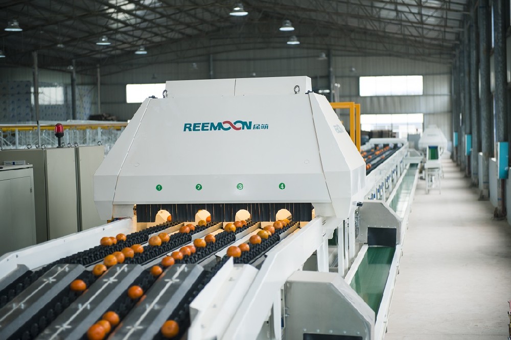 云南新平縣因獨(dú)到的立體氣候條件，“一年四季水果不斷”。近年來借勢鄉(xiāng)村物流體系，解決了農(nóng)產(chǎn)品因流通不暢而滯銷的問題，讓農(nóng)產(chǎn)品順暢進(jìn)城。在當(dāng)?shù)卣闹С窒拢腚娚獭l(fā)布采購指南、多次舉辦產(chǎn)銷對接活動等，讓產(chǎn)品不愁賣，這也極大提升了農(nóng)戶種植信心，目前，新平柑桔種植面積超過了12萬畝。隨著柑桔產(chǎn)業(yè)的快速增長