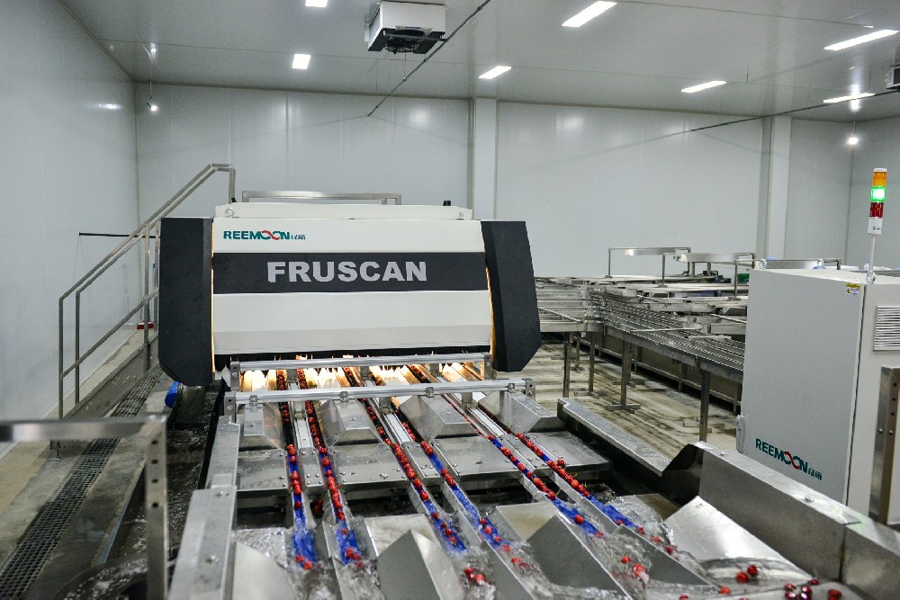 金禾天潤致力打造國內(nèi)一流的農(nóng)業(yè)品牌，鄉(xiāng)村振興戰(zhàn)略為中國農(nóng)業(yè)發(fā)展提供了全新的機(jī)遇，在全面實(shí)施鄉(xiāng)村振興戰(zhàn)略的引領(lǐng)下，金禾天潤已經(jīng)發(fā)展為一家專業(yè)從事果業(yè)全產(chǎn)業(yè)鏈生產(chǎn)經(jīng)營的現(xiàn)代農(nóng)業(yè)企業(yè)。實(shí)現(xiàn)農(nóng)業(yè)品牌定位，品種、品質(zhì)、品牌、產(chǎn)業(yè)鏈發(fā)展缺一不可，金禾引進(jìn)先進(jìn)技術(shù)培育優(yōu)質(zhì)品種，開展優(yōu)質(zhì)大櫻桃規(guī)模化、產(chǎn)業(yè)化、數(shù)字化