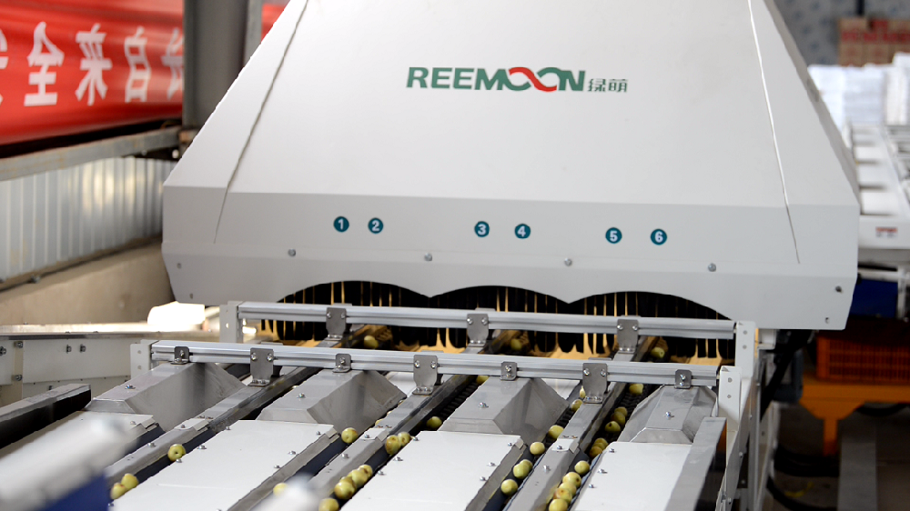 西安小船網(wǎng)絡(luò)科技有限公司（以下簡稱小船）是2013年成立的綜合性農(nóng)業(yè)產(chǎn)業(yè)鏈企業(yè)。與旗下全資公司大荔縣設(shè)施冬棗農(nóng)民專業(yè)合作社以及陜西天禾農(nóng)業(yè)開發(fā)有限公司形成高效聯(lián)動的農(nóng)業(yè)企業(yè)。目前，小船旗下的冬棗種植面積1700畝，年產(chǎn)銷冬棗達(dá)1800噸，與國內(nèi)知名水果產(chǎn)區(qū)大荔冬棗產(chǎn)區(qū)建立了深度戰(zhàn)略合作關(guān)系，建立了基地直采