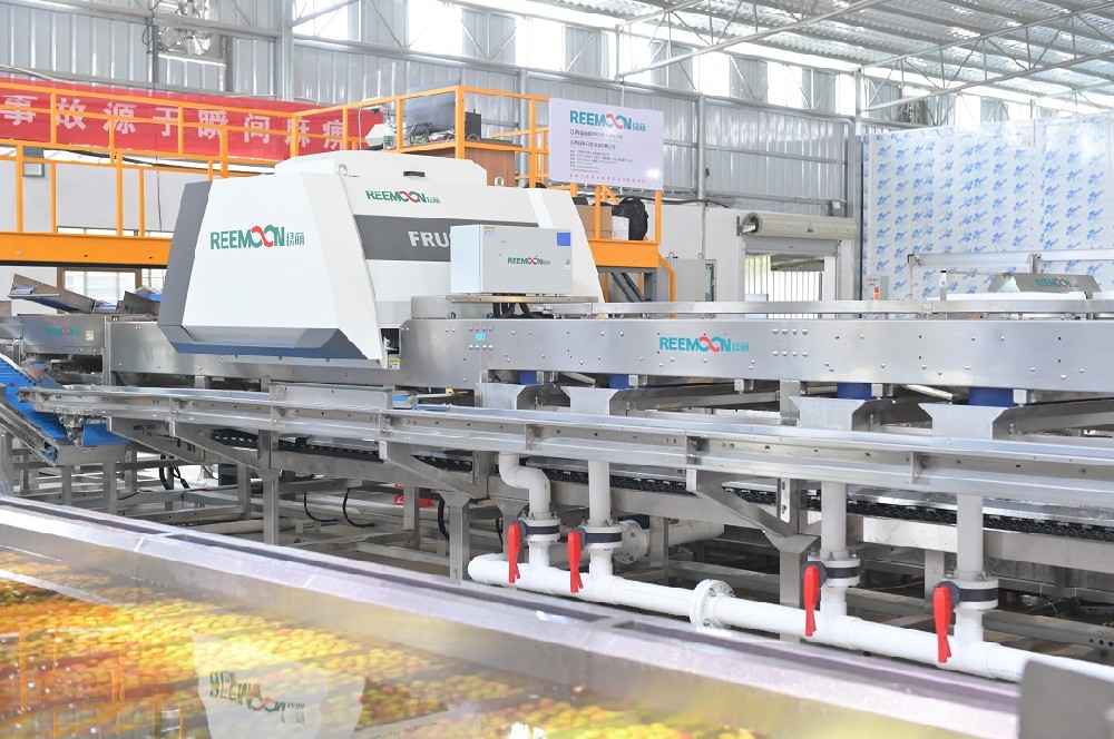 荔枝產業是廣東農業的傳統優勢產業，種植面積全國第一，穩定在410萬畝，帶動從業人員超過180萬人，已成為富民興村的重要“利器”。圖來源于網絡廣東荔枝能夠獲得國內外消費者的喜愛，除了自身的甜美味道之外，還與廣東省各級政府的有力開拓、大力支持、堅強領導密不可分。近年來，為不斷增強廣東荔枝市場的拓展能力