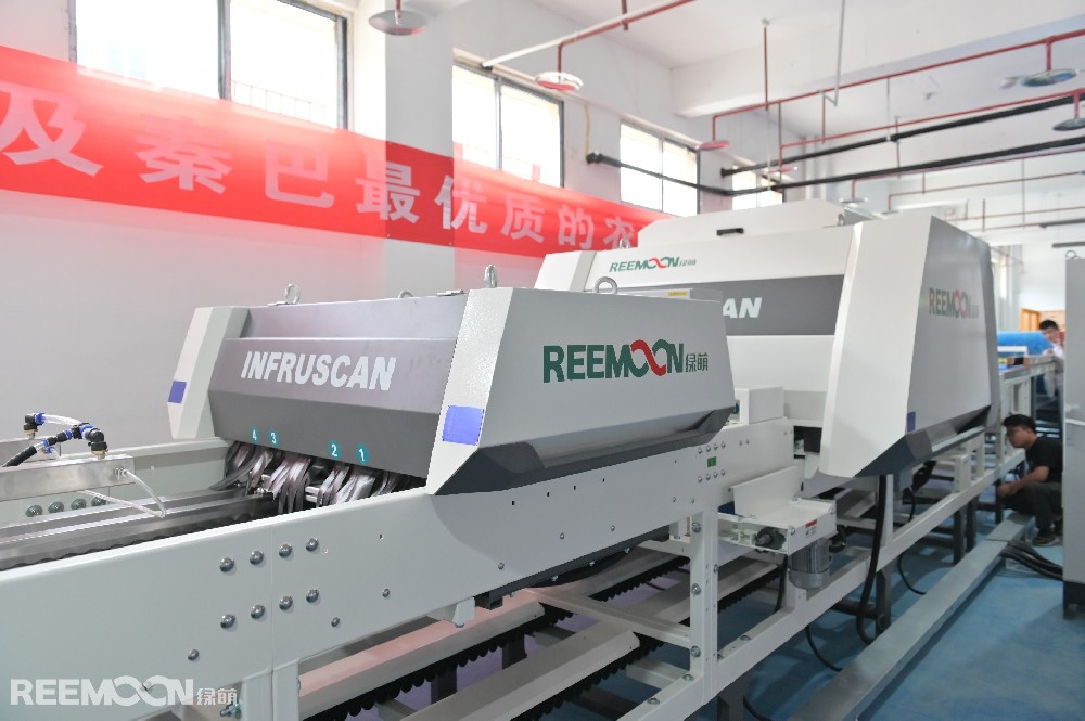 巫山脆李是政府的扶貧項(xiàng)目，巫山縣將“巫山脆李”定位為優(yōu)化農(nóng)業(yè)結(jié)構(gòu)、提升農(nóng)業(yè)效益、促進(jìn)貧困戶脫貧致富的山地特色主導(dǎo)產(chǎn)業(yè)之一，進(jìn)行重點(diǎn)打造，采取了一系列措施，如規(guī)模化種植、品種研發(fā)、引進(jìn)精深加工等。據(jù)巫山網(wǎng)報(bào)道，截止去年，巫山縣脆李種植28萬(wàn)畝，種植戶達(dá)5萬(wàn)余戶，其中貧困戶9108戶。巫山脆李品牌價(jià)值達(dá)19.18億