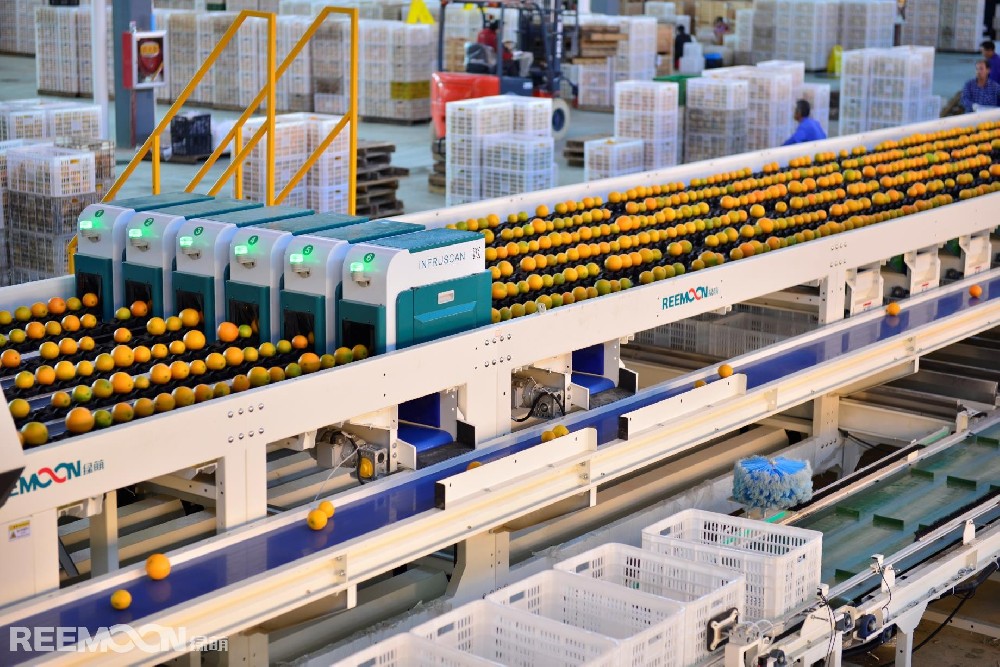 據(jù)央視網(wǎng)消息，隨著盛夏的來(lái)臨，西瓜、荔枝、桃子等夏季水果均進(jìn)入上市高峰期，水果供應(yīng)數(shù)量充足、品種豐富。全國(guó)水果價(jià)格逐步季節(jié)性下降。圖來(lái)源于網(wǎng)絡(luò)全國(guó)水果價(jià)格季節(jié)性下降是什么原因？據(jù)農(nóng)業(yè)農(nóng)村部農(nóng)產(chǎn)品市場(chǎng)預(yù)警團(tuán)隊(duì)水果首席分析師趙俊曄表示，現(xiàn)在水果進(jìn)入季節(jié)性供給高峰，品種多，葡萄、李子、龍眼也將在7月份大量上