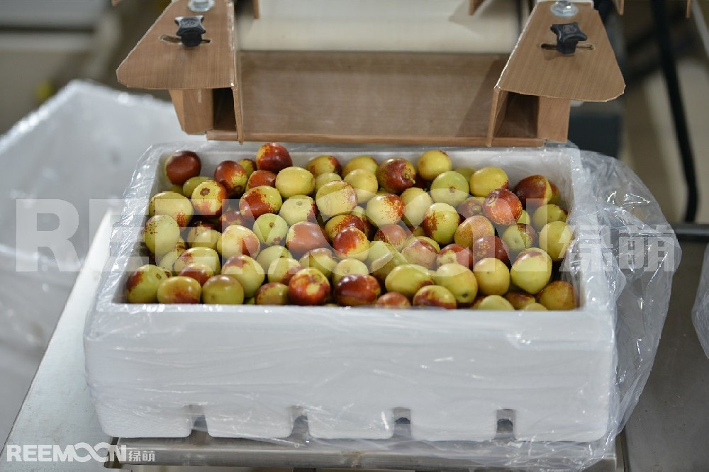 科技創(chuàng)新帶來(lái)了農(nóng)業(yè)發(fā)展的新時(shí)代，科技成為農(nóng)業(yè)振興的翅膀，使農(nóng)業(yè)結(jié)構(gòu)優(yōu)化，效益提升，農(nóng)民的致富路也變得一路順暢。大荔縣將冬棗作為強(qiáng)農(nóng)富民的支柱產(chǎn)業(yè)大力培育和發(fā)展，全縣冬棗栽植面積和產(chǎn)業(yè)規(guī)模與效益逐年擴(kuò)大，發(fā)展勢(shì)頭良好。截止去年，大荔縣冬棗種植面積達(dá)42萬(wàn)畝，2019年產(chǎn)量突破50萬(wàn)噸，產(chǎn)值50億元，品牌價(jià)