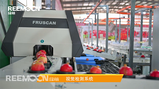 千年古城，榴在會(huì)理。會(huì)理縣日照充足，境內(nèi)多海拔1300米至1700米的臺(tái)地，是中國(guó)最適宜種植石榴的地區(qū)之一，石榴種植面積達(dá)40萬(wàn)畝。2007年，會(huì)理石榴獲地理標(biāo)志產(chǎn)品保護(hù)，為當(dāng)?shù)厥癞a(chǎn)業(yè)的發(fā)展翻開(kāi)了新篇章。據(jù)了解，會(huì)理縣對(duì)會(huì)理石榴的開(kāi)園上市時(shí)間、會(huì)理軟籽石榴等級(jí)規(guī)格，即果實(shí)重量、果形、整治度、外觀色澤、果粒