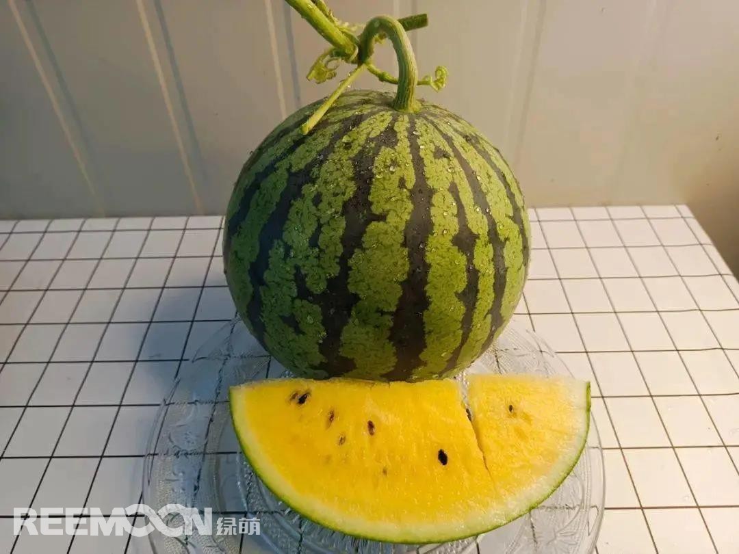 1639099109878281.jpg 圖片來源:寧波市農科院.jpg