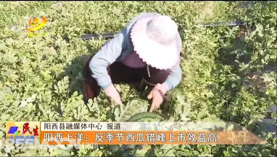 1639099193700320.jpg 6.jpg