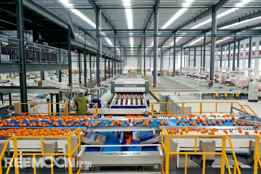 一個好的水果的評價標準是什么？作為消費者來說，品質、口感、外觀三者缺一不可。但單憑自己的判斷難以挑選到比較好的水果。有人調研發現，國內市場其實有很多品質好、口感好、外觀好的水果，但經常分散在品質不好、口感不佳的水果中。可能就會造成這樣一種局面，買同一種水果，消費者今天買到的水果是甜的，但之后買