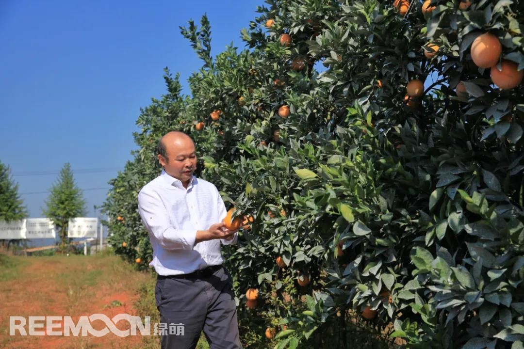 1641546151107032.jpg 江西綠萌科技控股有限公司董事長 朱壹.jpg