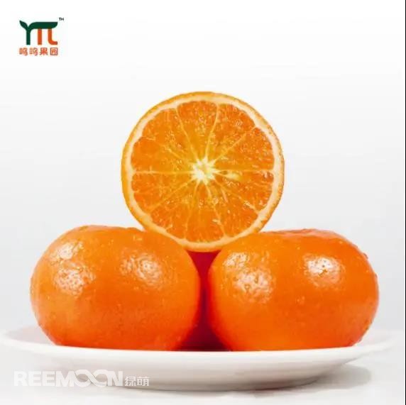 1642823781242575.jpg 2.jpg