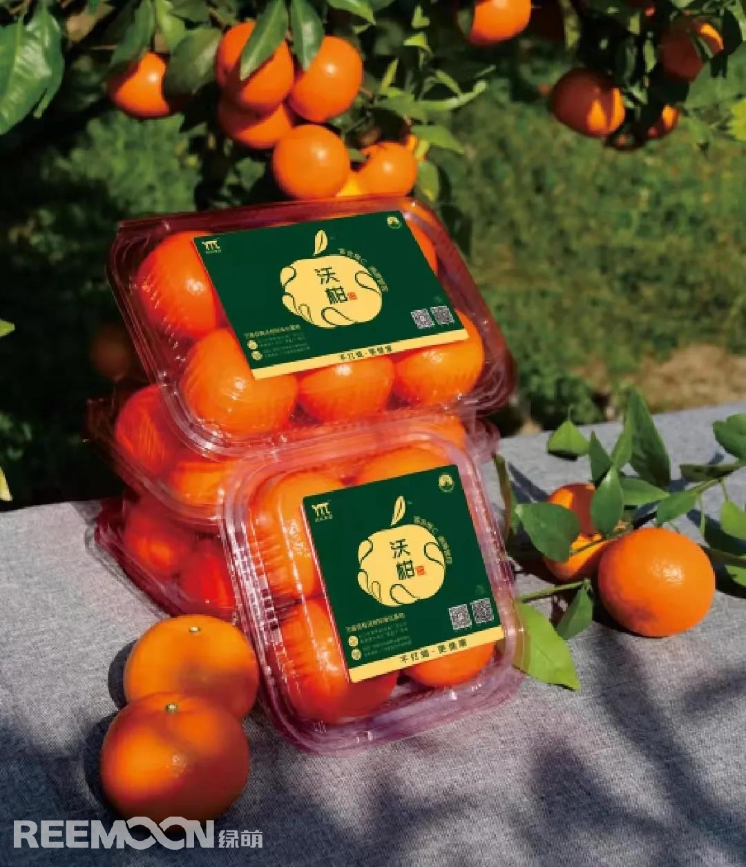 1642823800193182.jpg 3.jpg