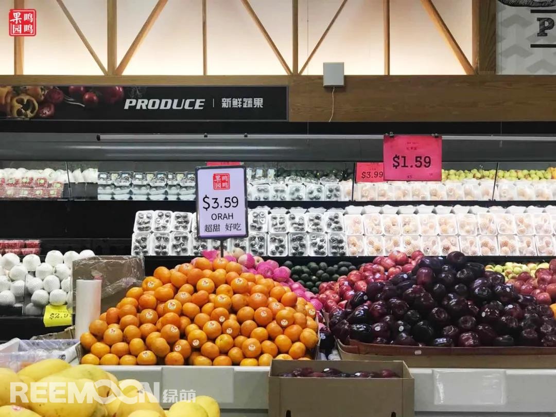 1642824372193331.jpg 10.jpg