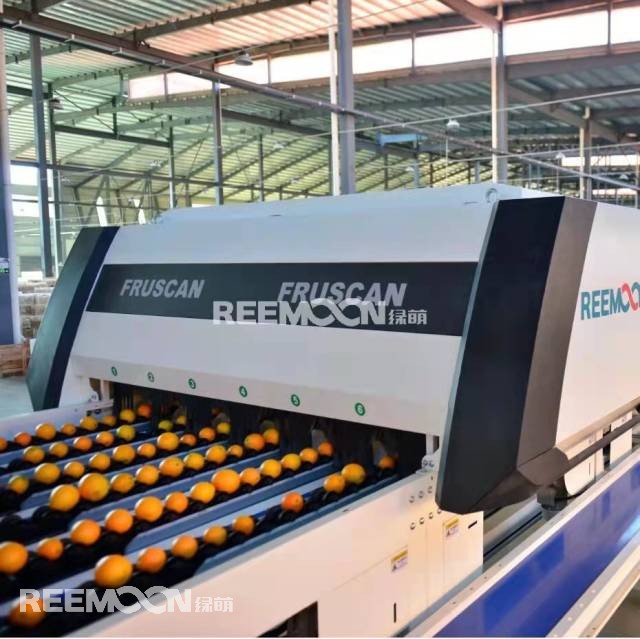 智能化分揀可以做到何種程度？水果果徑可以精確到毫米，重量可精確到0.5克，這是江西綠萌科技控股有限公司（以下簡稱“綠萌”）給出的答案。在廣東德慶，一筐筐柑橘通過標準化處理運往全國各地，色澤鮮艷、窩底完整、表皮光滑、個頭均勻、口感最佳，增強了“德慶貢柑”品牌軟實力；在廣西興安，一顆顆沃柑通過數(shù)字化光譜分選