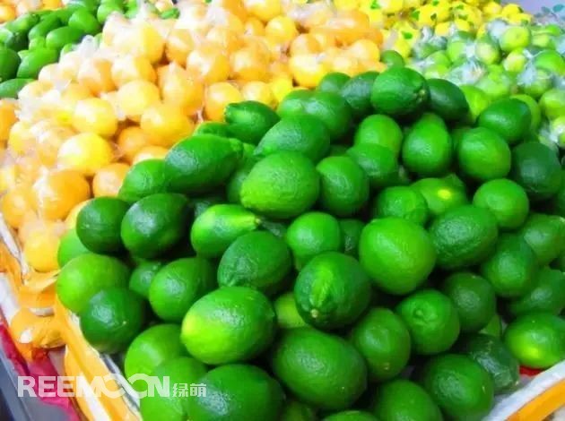 1651282266148214.jpg 8.jpg