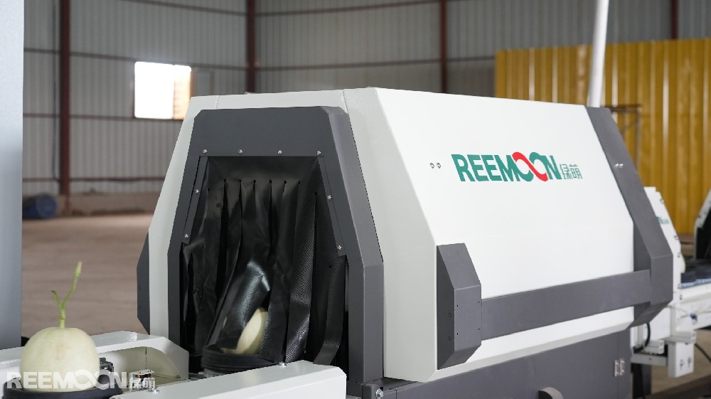 仲夏時節，花香四溢，瓜果飄香。這一場景不是在雨水充沛的南方或是土壤肥沃的東北，而是茫茫大戈壁之中，這里就是甘肅省玉門市玉瓏種植農民專業合作社的種植基地。每年超過24000噸的優質蜜瓜從這里種植生產出來，銷往北京、上海、杭州、廣州、長沙、武漢、南昌等全國20多個省區的核心城市。玉門市玉