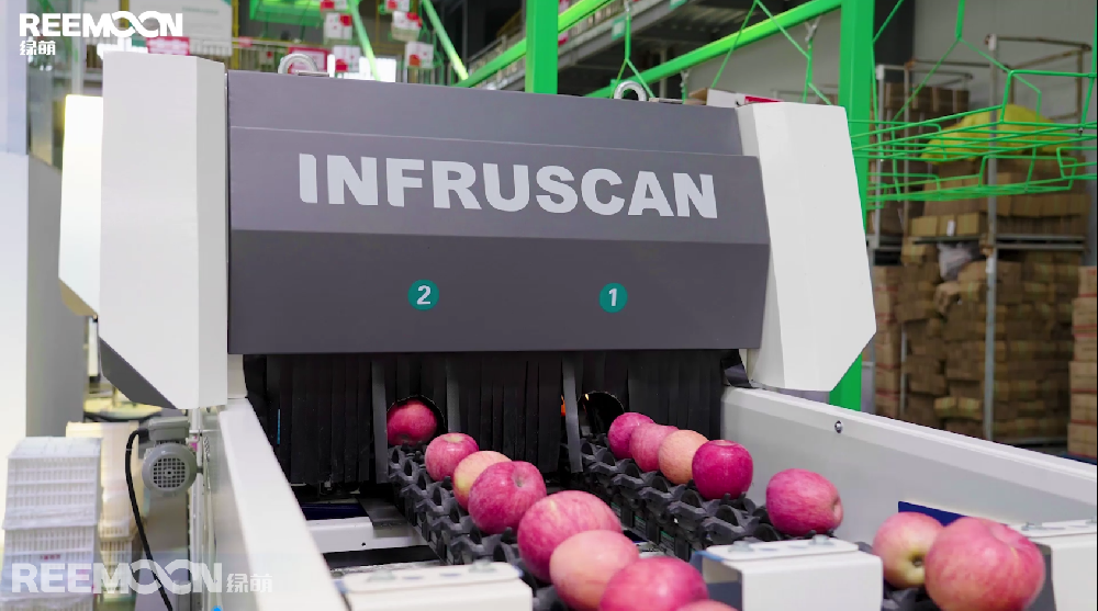 陜西洛川是中國蘋果主要產地之一，洛川縣海拔較高，光照充足，晝夜溫差大，雨熱同季，是符合蘋果最適宜生產區7項氣象指標要求的蘋果優生區，出產的洛川蘋果具有肉質細嫩致密、汁多松脆、酸甜適口等特征，“洛川蘋果”也被列入國家農產品地理標志登記保護。近年來，電商平臺發展迅速，短視頻直播逐漸成為水果銷售