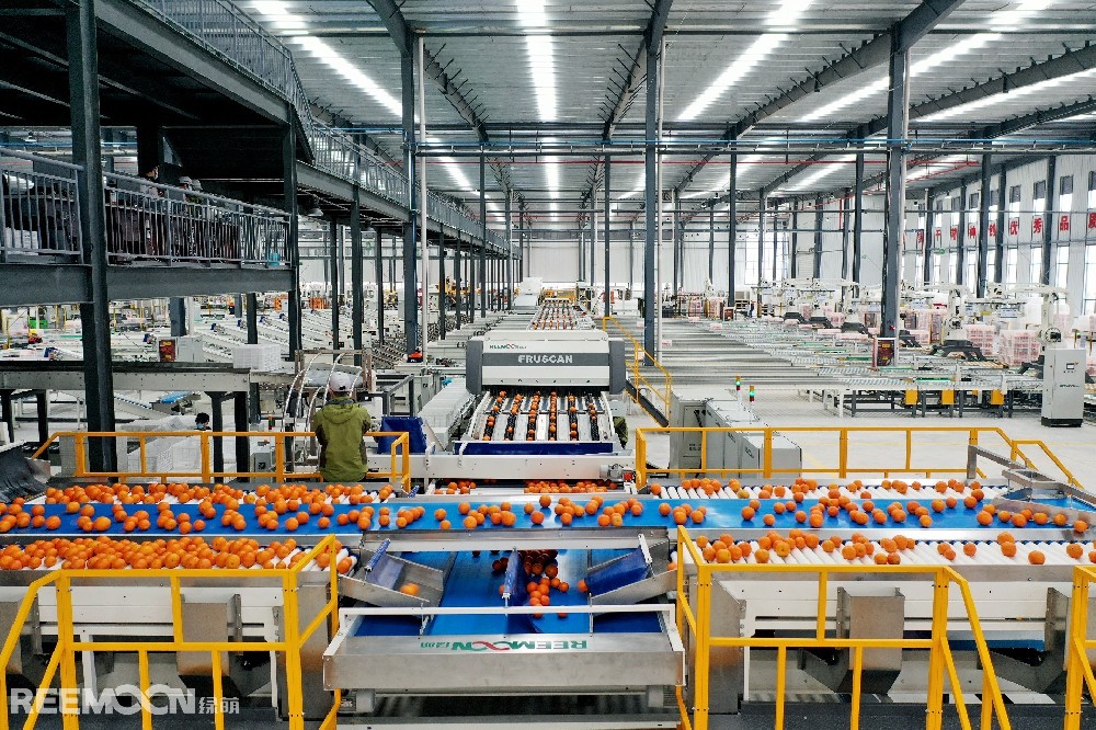 水果作為日常生活必不可少的食品之一，富含各種維生素、礦物質(zhì)和纖維素,對我們的身體健康有著重要的作用。世界上水果種類繁多，而說到其中最復(fù)雜的水果家族，就不得不提柑橘家族。柑橘800萬年前起源于喜馬拉雅地區(qū)，是人類采食利用最早的水果之一。幾百萬年的自然選擇，4000多年的人為參與。讓柑橘成為了一個(gè)家族內(nèi)部成員關(guān)