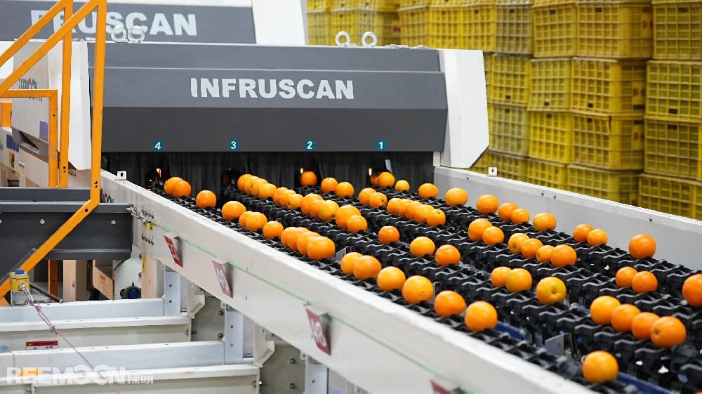 5月9日湖北日報“三農(nóng)觀察”板塊聚焦“綠萌AI分選，精準(zhǔn)檢測秭歸臍橙干水”全文如下↓來源｜湖北日報全媒記者｜劉勝通訊員｜鄭貝貝“今年春節(jié)的雨雪冰凍天氣對橙子的品質(zhì)產(chǎn)生影響，少部分橙子因積雪覆蓋出現(xiàn)‘干水癥’，不好的口感影響了口碑。”5月是倫晚（臍橙的一種）上市季，秭歸縣果農(nóng)陳光卻愁眉不展，往年這時節(jié)采購的