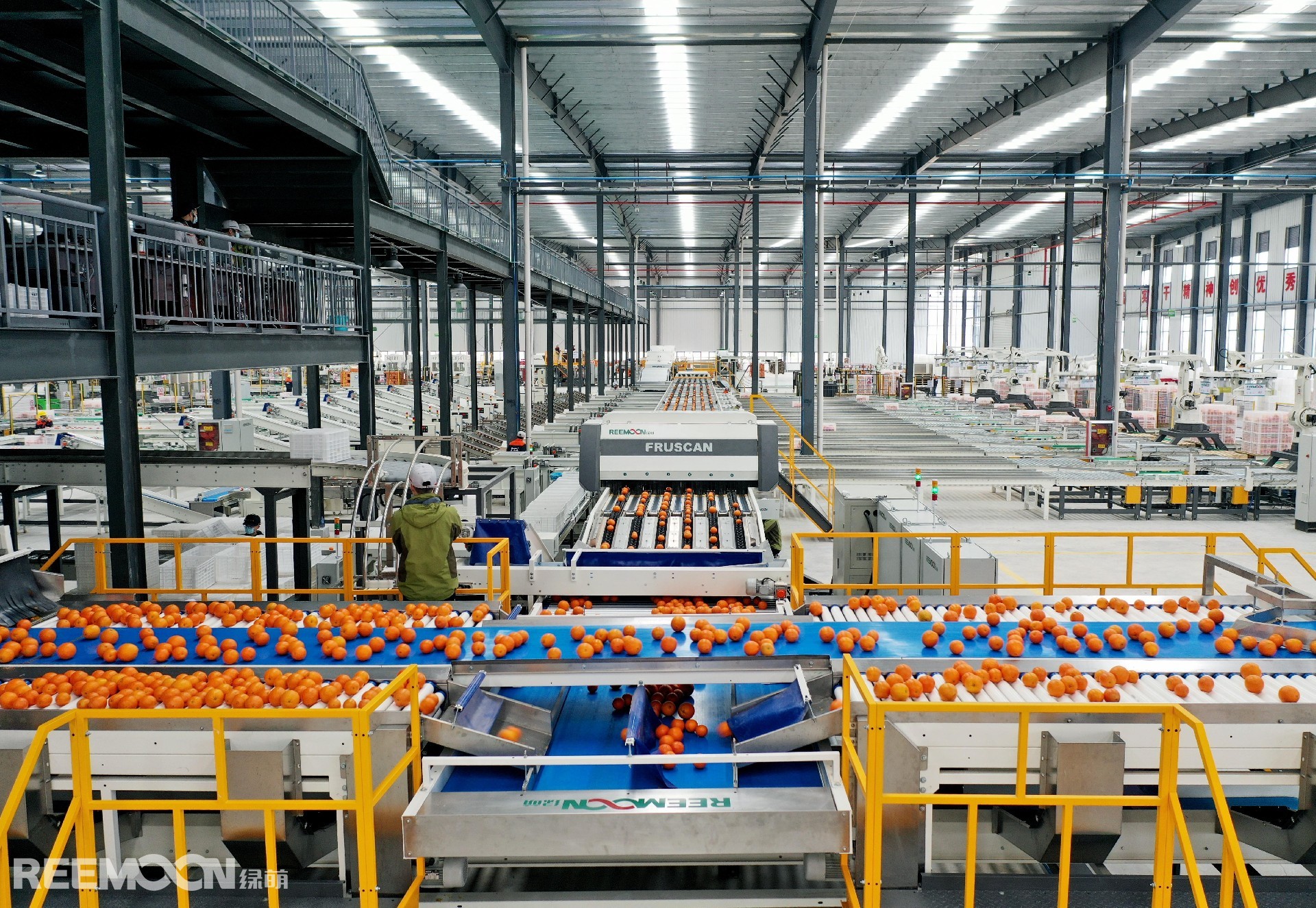 1759976355178411.jpg 臍橙(1) - 副本 - 副本.jpg