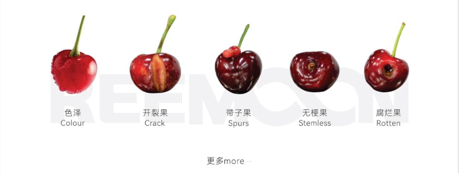 1759976488272080.jpg 車?yán)遄予Υ?jpg