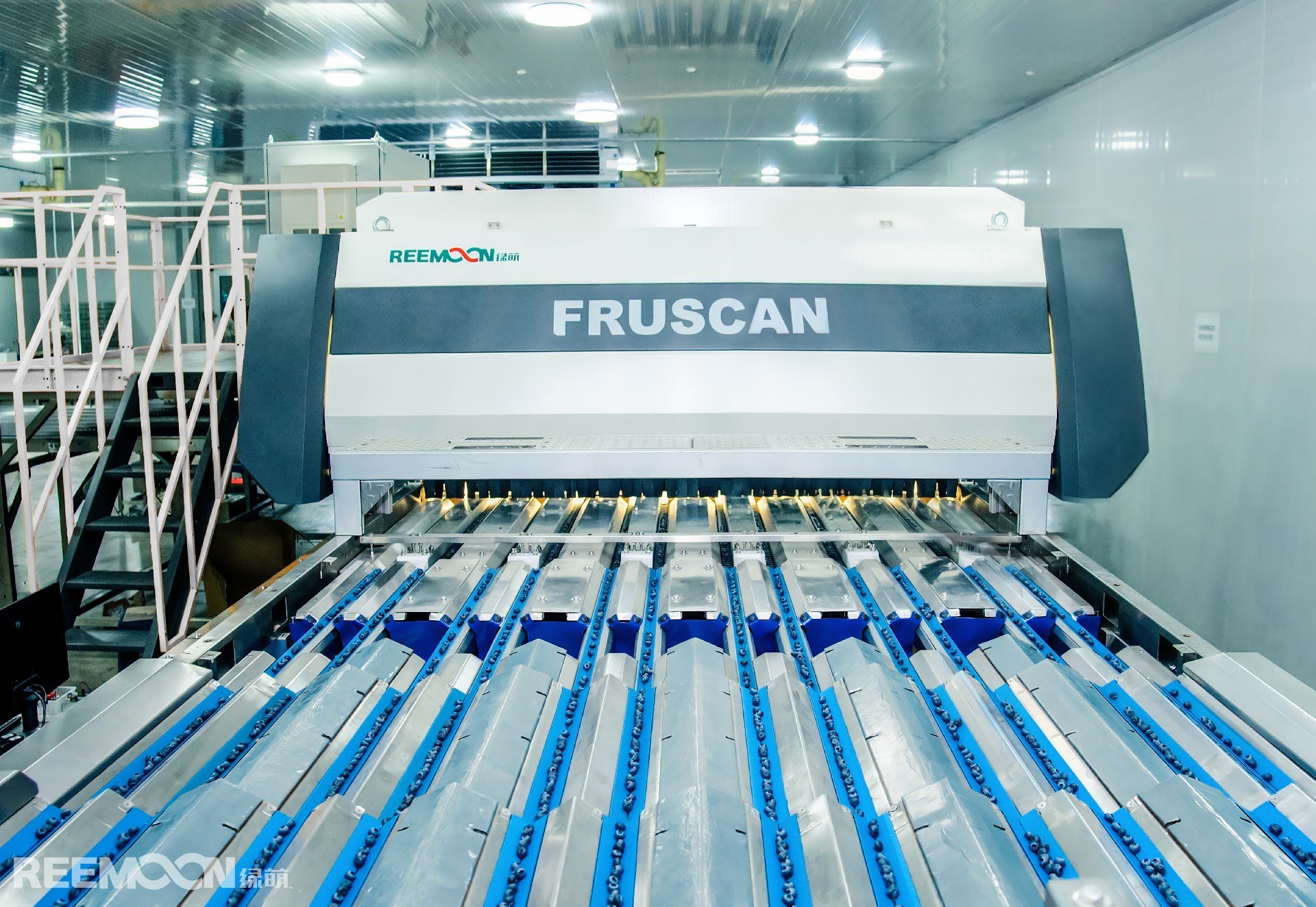 1759976561200383.jpg 藍(lán)莓 - 副本.jpg