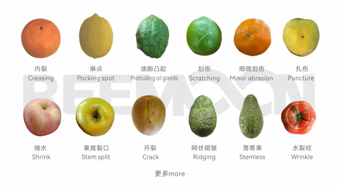 1764669568191505.png 視覺檢測系統.png