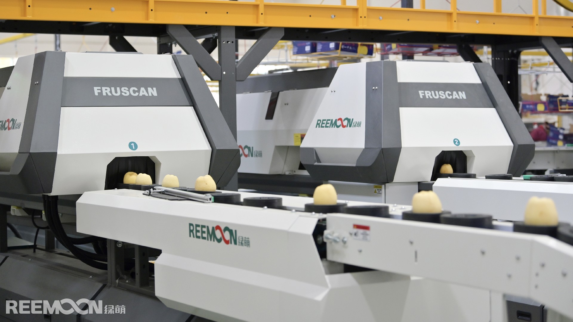 1764729261490135.jpg 蘋果呵福式.jpg